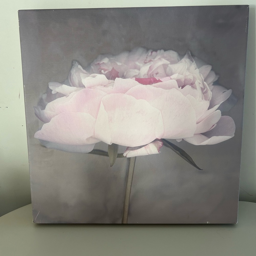 Peony Wrap Canvas